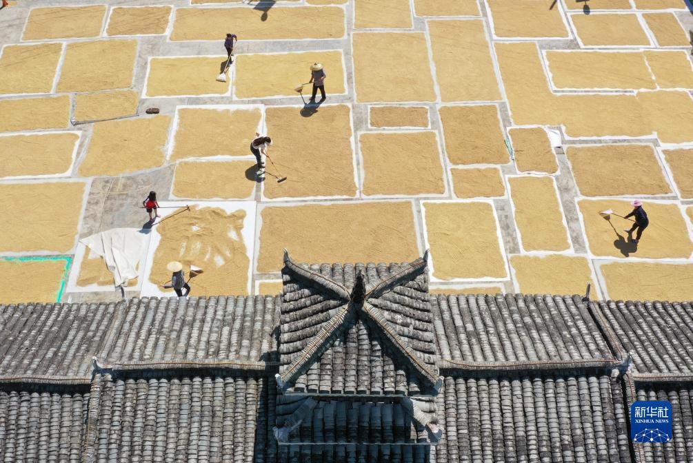 海港城线上棋牌
